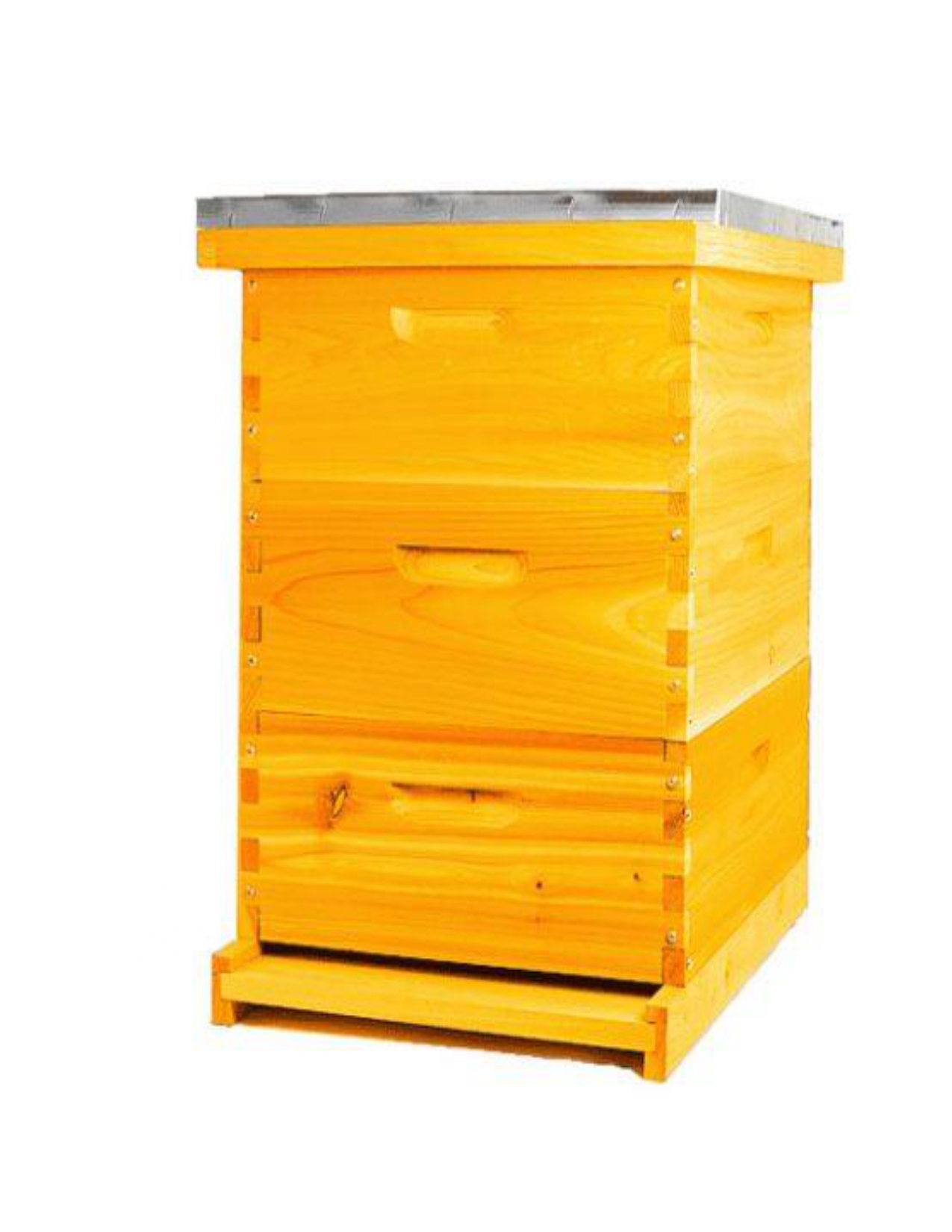 western Gold Langstroth Beehive